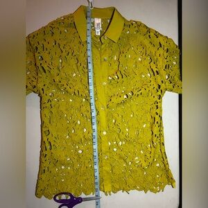 NWOT WYNNE COLLECTION Unlined Avocado Green Lace Collar Button up Top Sz Medium